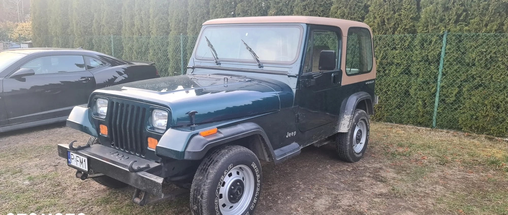 Jeep Wrangler cena 46000 przebieg: 123660, rok produkcji 1994 z Ruda Śląska małe 172